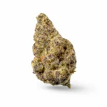 PEANUTBUTTERSHAKE_FLOWER