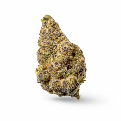 PEANUTBUTTERSHAKE_FLOWER