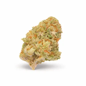 ZAZA | ORANGE CREAMSICLE THCA EXOTIC FLOWER