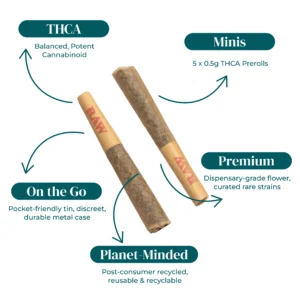 THCA BUBBLE HASH INFUSED PREROLLS 5 PACK TINS INFOGRAPHIC