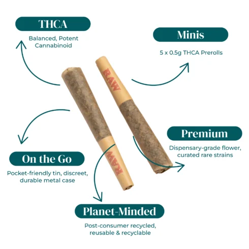 PREMIUM THCA FLOWER PRE-ROLLS | 5-PACK TINS_INFOGRAPHIC PREMIUM THCA FLOWER PRE-ROLLS | 5-PACK TINS_INFOGRAPHIC