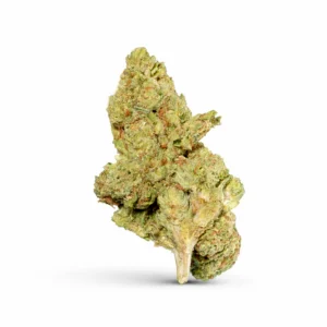 BACIO GELATO FLOWER