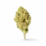 CANDY GAS_FLOWER