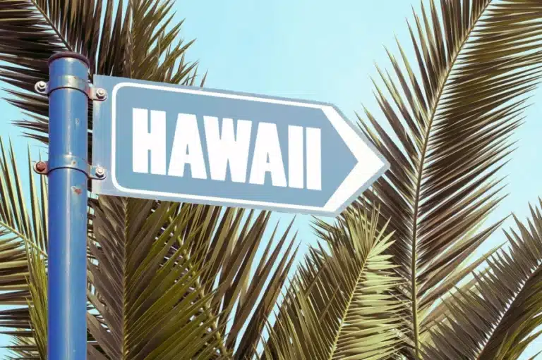 a sign "Hawaii" with a palm tree in the background