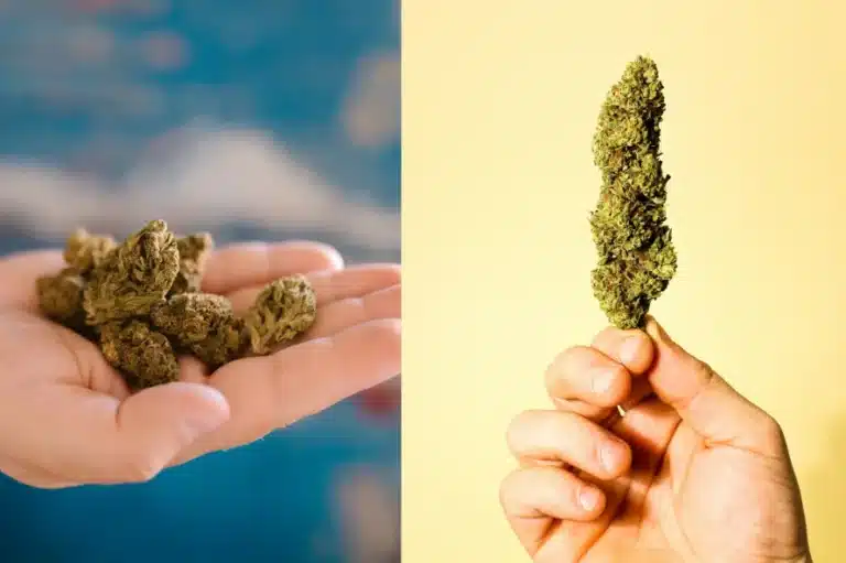 Small Buds vs Big Buds on both hands