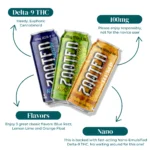 ZOOTED | DELTA 9 THC SELTZER | 100MG_INFOGRAPHIC