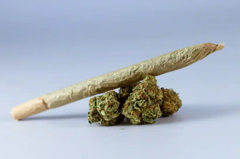 a rolled up joint and cannabis bud