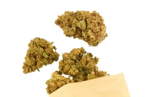 a group of cannabis pineapple express buds