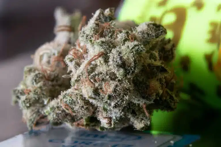 a close up of a THCA flower