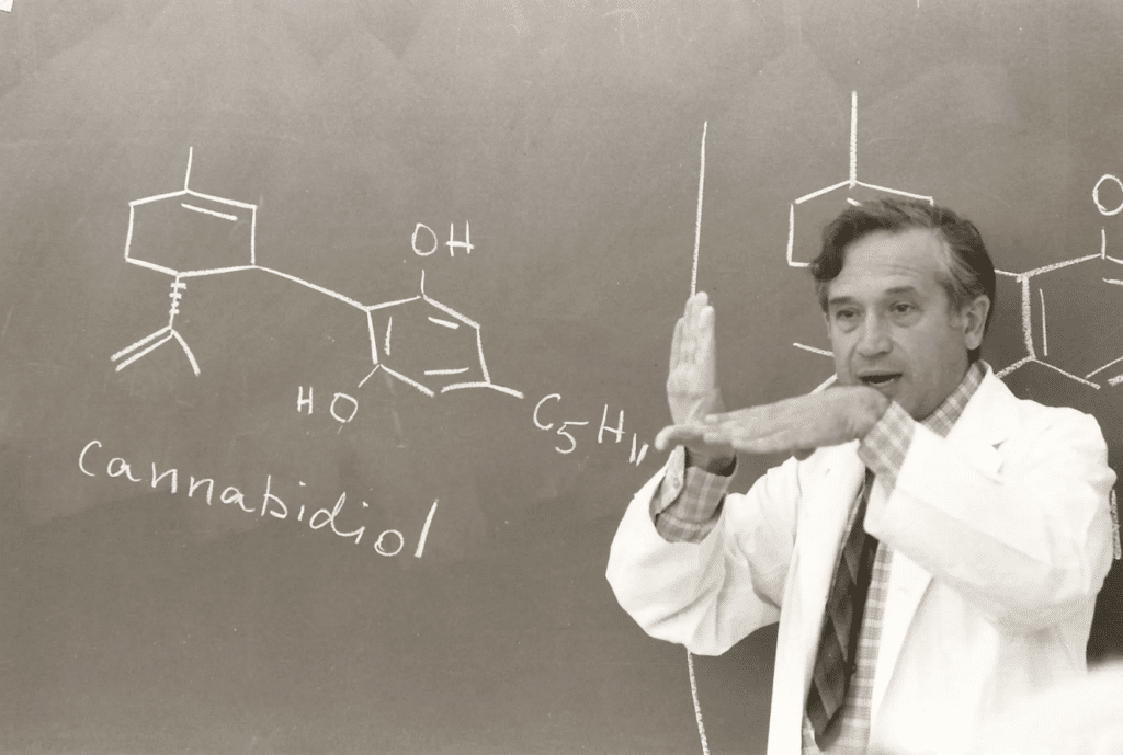 Raphael Mechoulam explaning a cannabinoid.