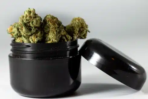 a black container with donny burger strain buds in it