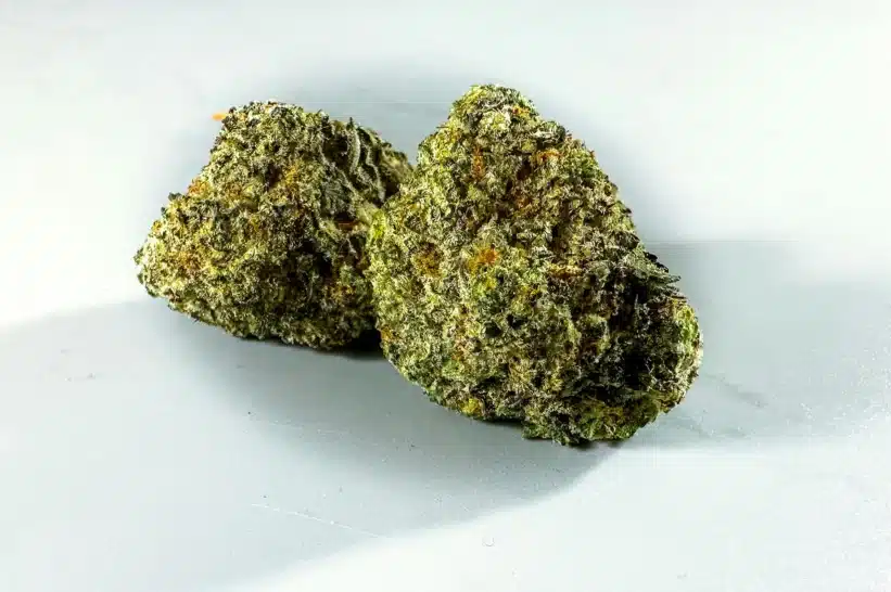 a close up of THCA buds