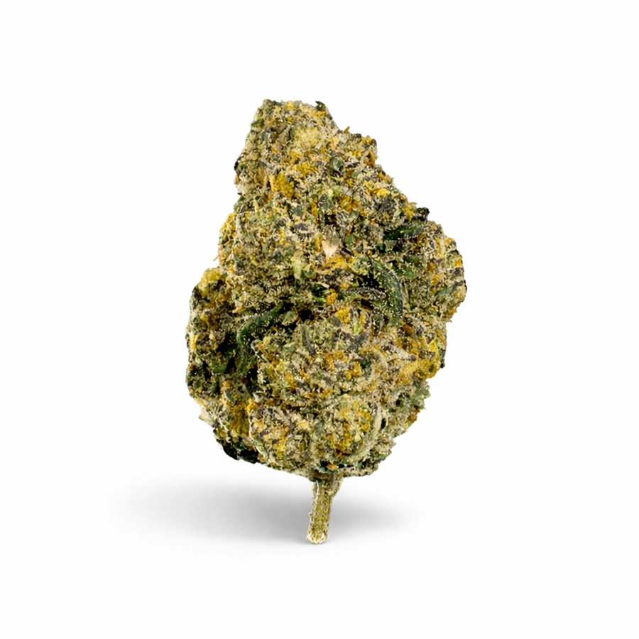ZAZA | EXOTIC THCA FLOWER | WALKING IN LA