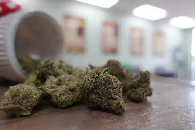 a pile of cannabis buds on a table
