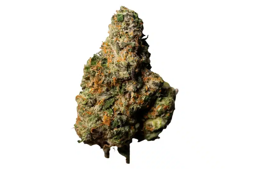 Jello Cake Strain: Complete Profile Breakdown
