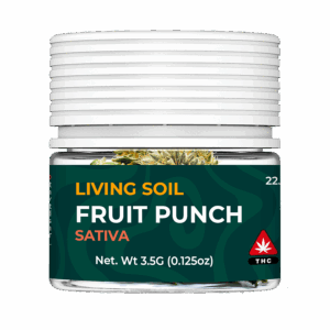 mock_Fruit-Punch_Living-soil-3