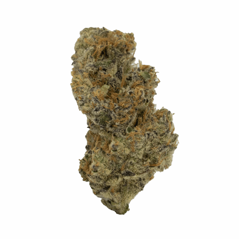 galactic gas Living Soil THCA Flower from The Hemp Doctor - Galactic Gas strain | Flower Image