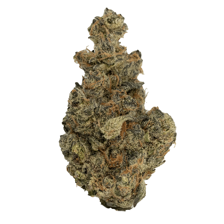 LIVING SOIL | THCA FLOWER | OISHII #13 - The Hemp Doctor