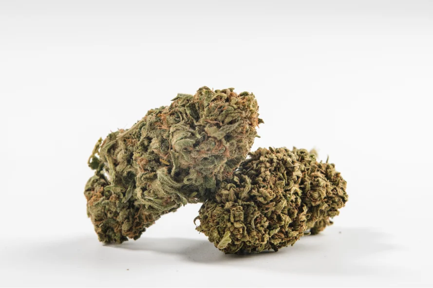 Two Sour Diesel strain buds on white background