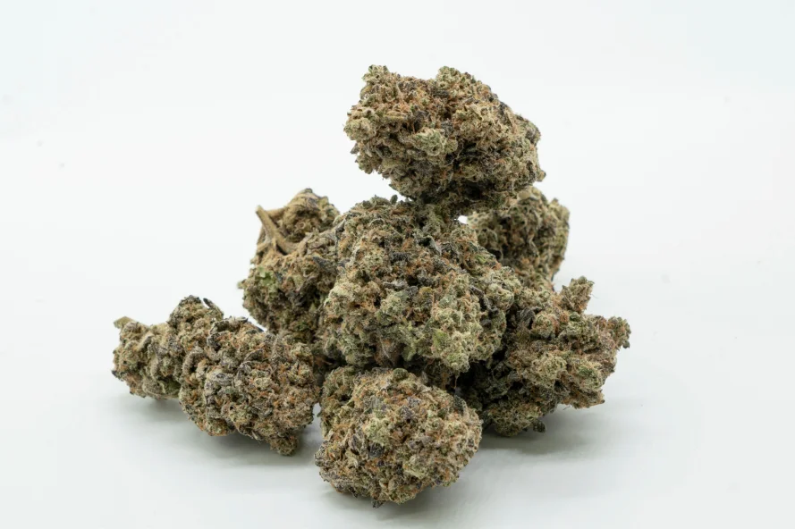 Close-up of cannabis buds.