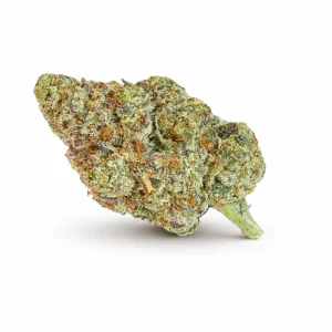 ZAZA | THCA EXOTIC FLOWER | OREO BLIZZY