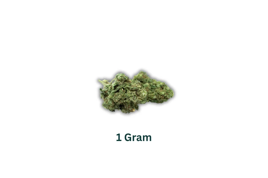 A gram of cannabis buds on white background