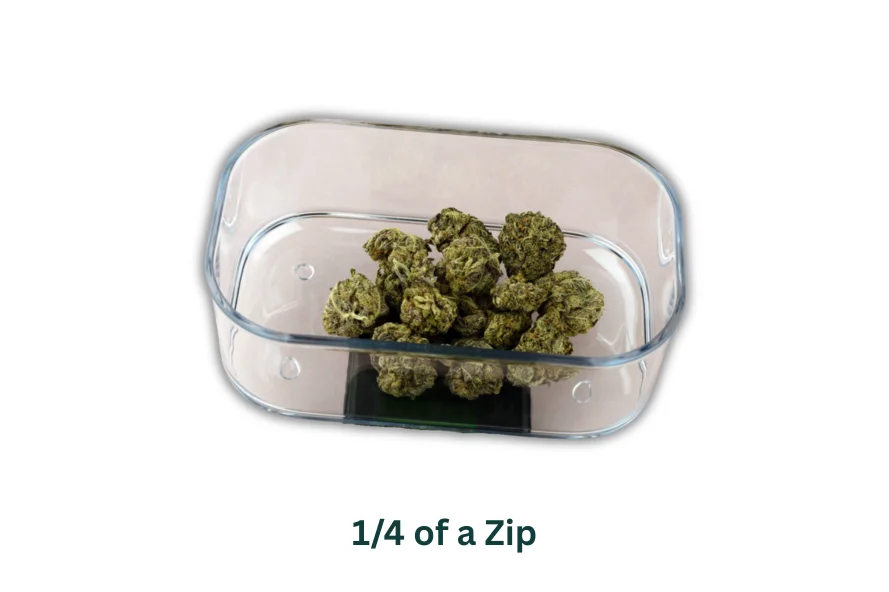 Container with 1/4 zip of cannabis buds inside
