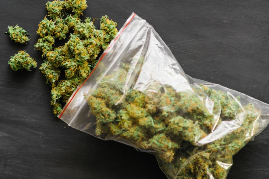Cannabis buds spilled from a ziplock