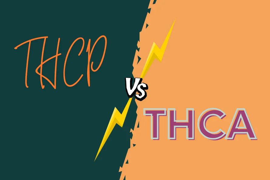 Decorative feature image for the blog "Is THCP Stronger Than THCA?"