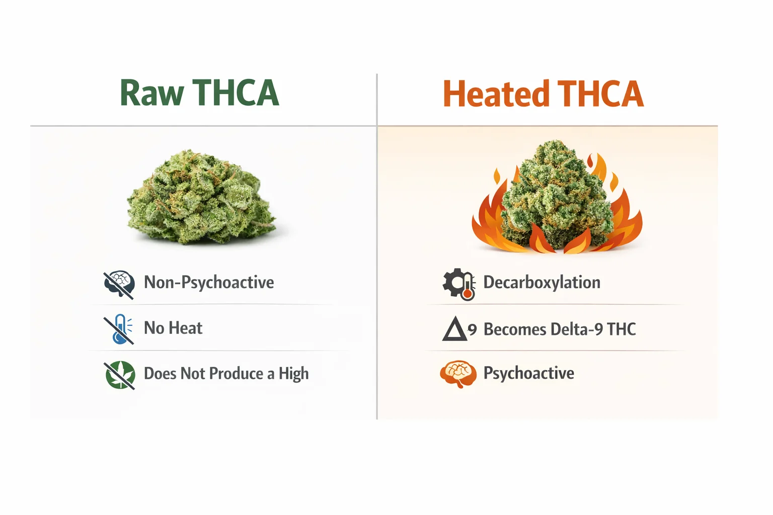 Comparison of raw and heated THCA