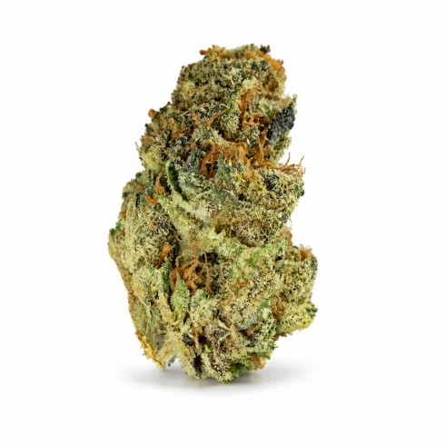 PURPLE PRINCESS_FLOWER