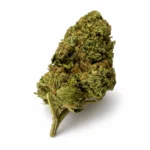 GRAPEFRUIT_FLOWER