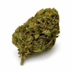 KUSHBERRY FLOWER