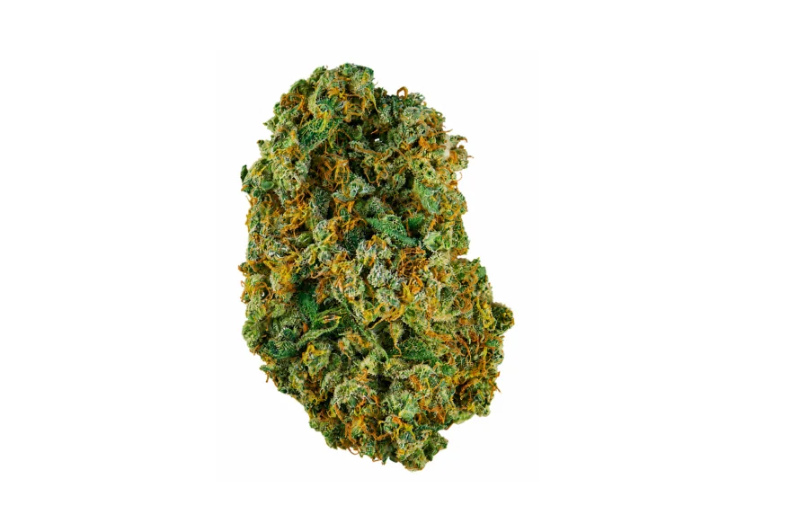 Green cannabis bud with orange hairs