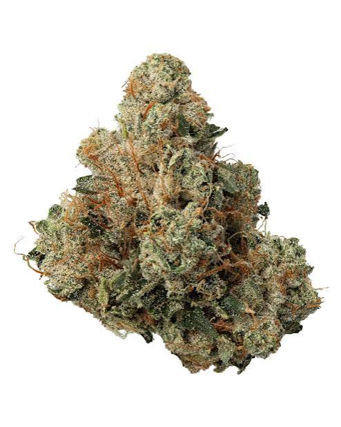 Dense cannabis bud with trichomes