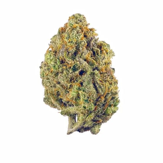 Dense, green cannabis bud with trichomes.