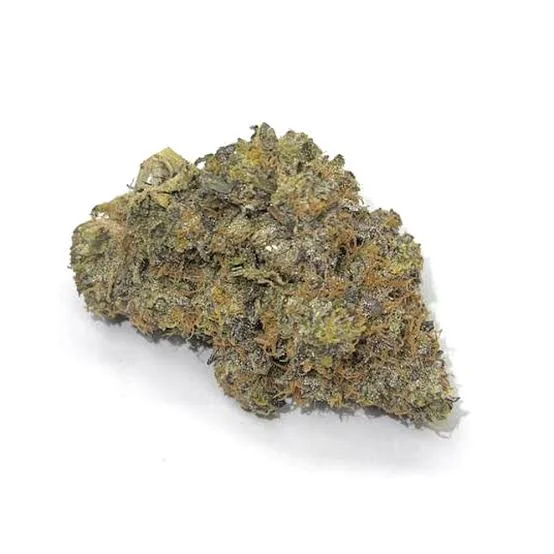 Green cannabis bud on white background
