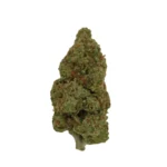 purple punch zaza