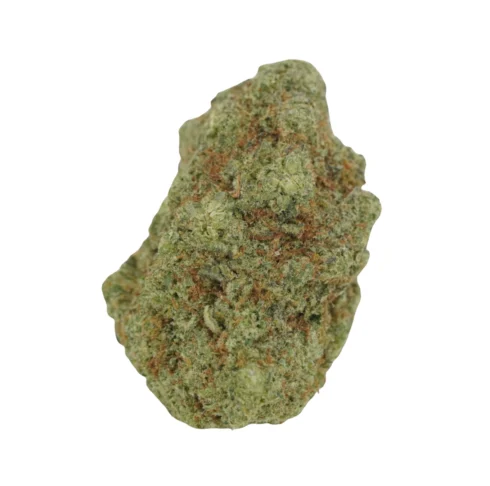 zahiti lime living soil zahiti lime living soil