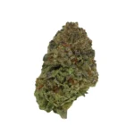 lemon zonkers zaza 1