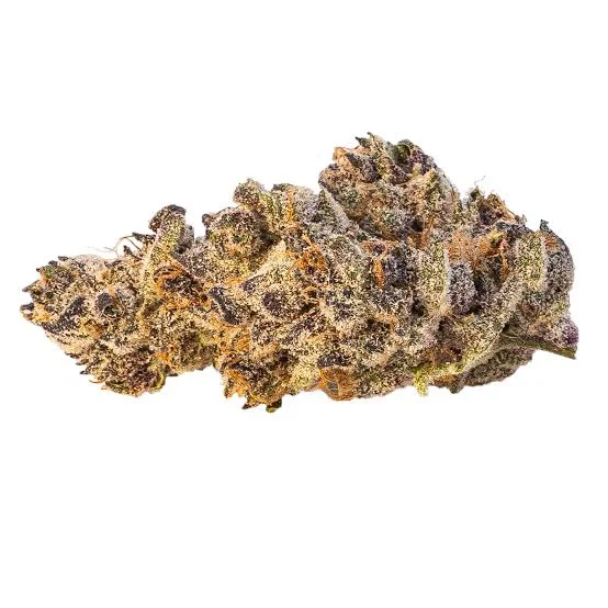 Dense, purple cannabis buds with trichomes of Tropicana Cookies