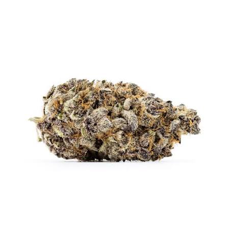Dense cannabis bud with trichomes of Blu Froot strain