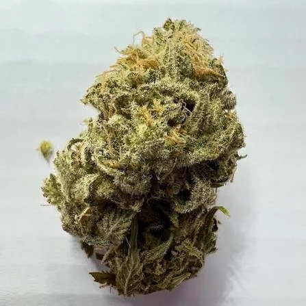 Dense green cannabis bud with trichomes of a Pineapple OG strain.