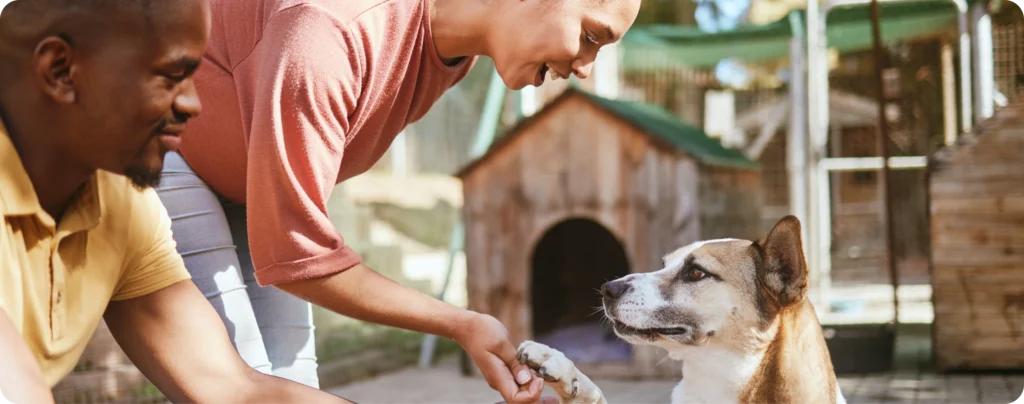 Two people greeting a dog that offers its paw beside a wooden dog house