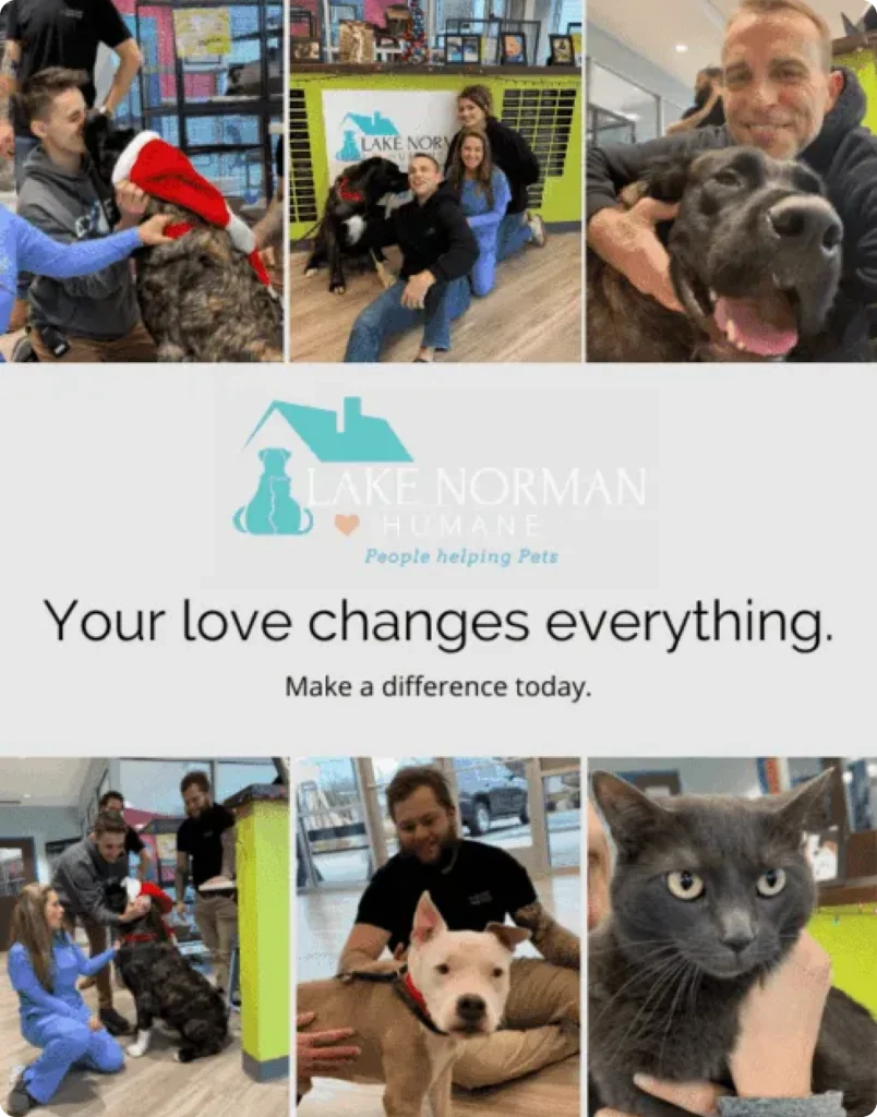 Photo collage of The Hemp Doctor team visiting dogs and cats at Lake Norman Humane, with the words: Your love changes everything. Make a difference today.