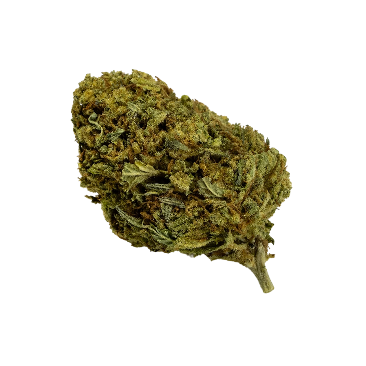The Hemp Doctor THCA flower